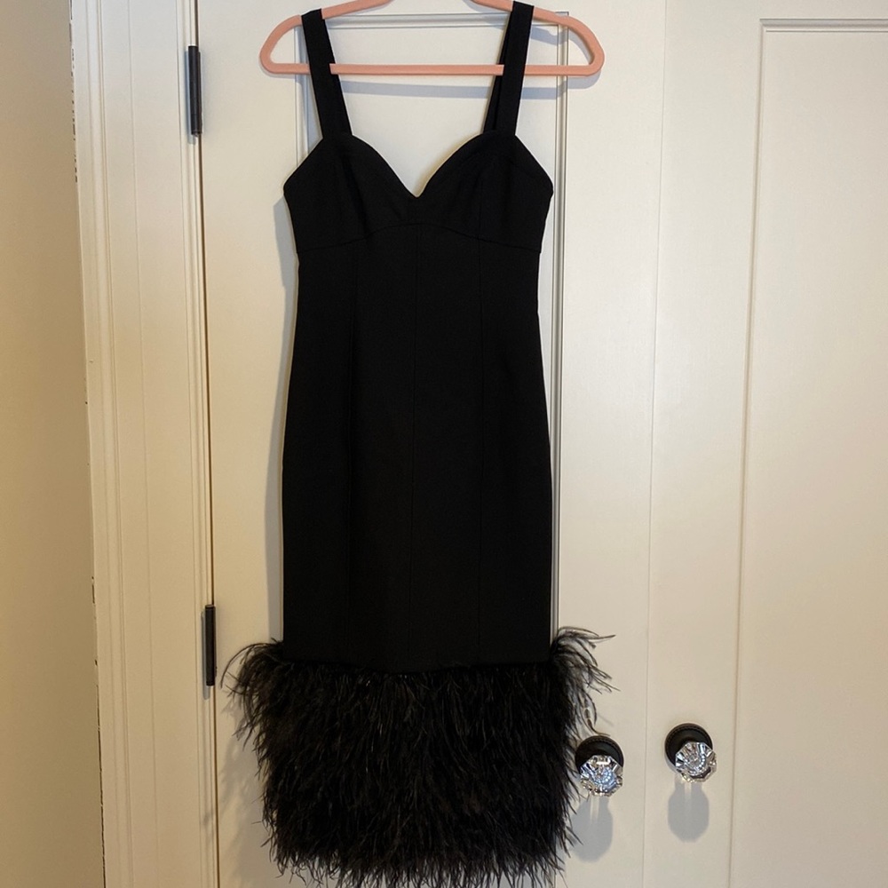Black Cinq a Sept dress with feather bottom.